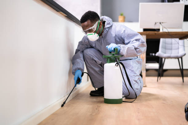 Best Real Estate Pest Inspections  in Bethlehem, NC